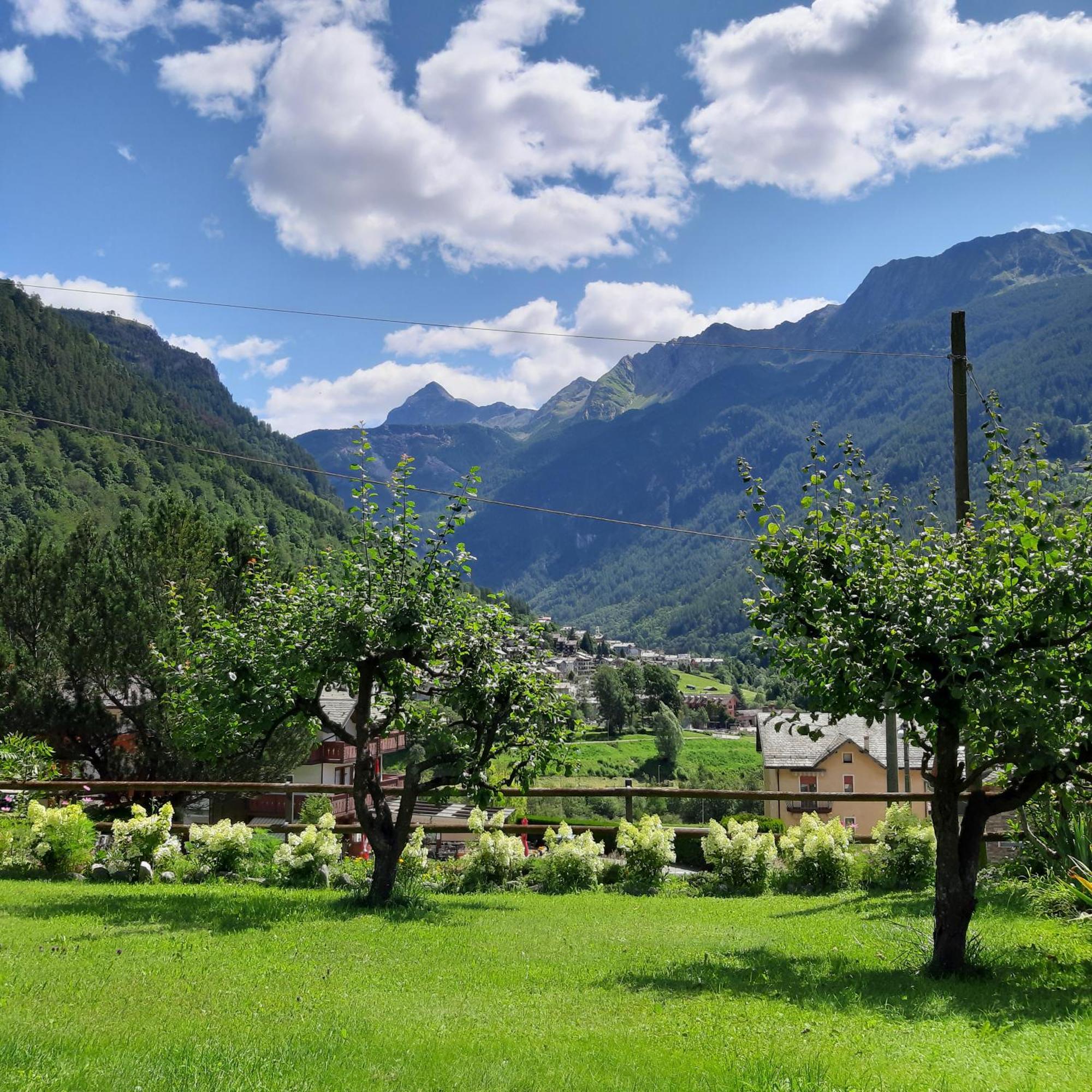 Alpino B&B Chiesa in Valmalenco Esterno foto