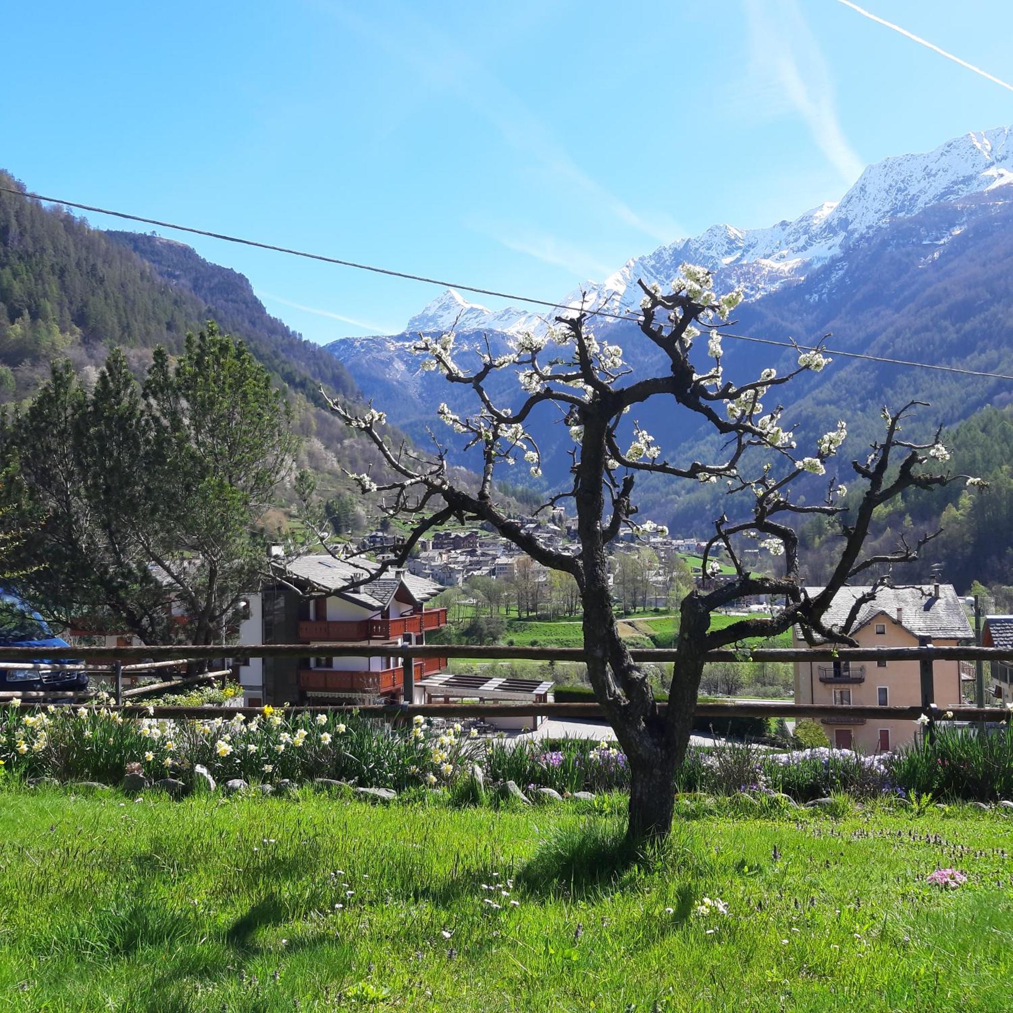Alpino B&B Chiesa in Valmalenco Esterno foto